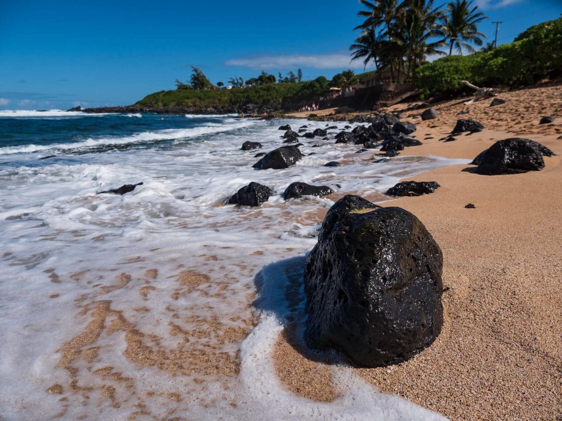 Sandy Beach in Maui, Hawaii