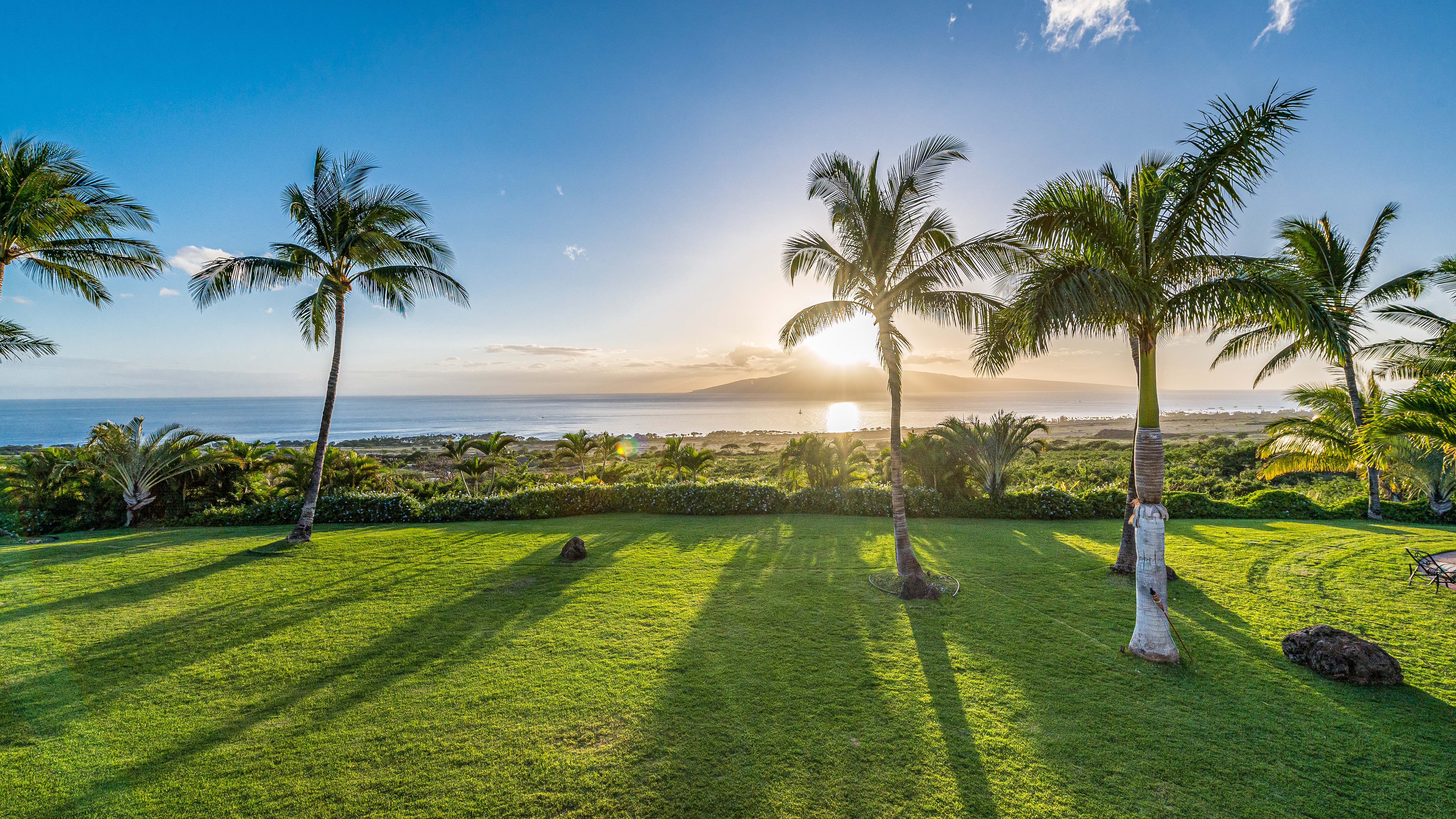 Maui Recovery — image 7